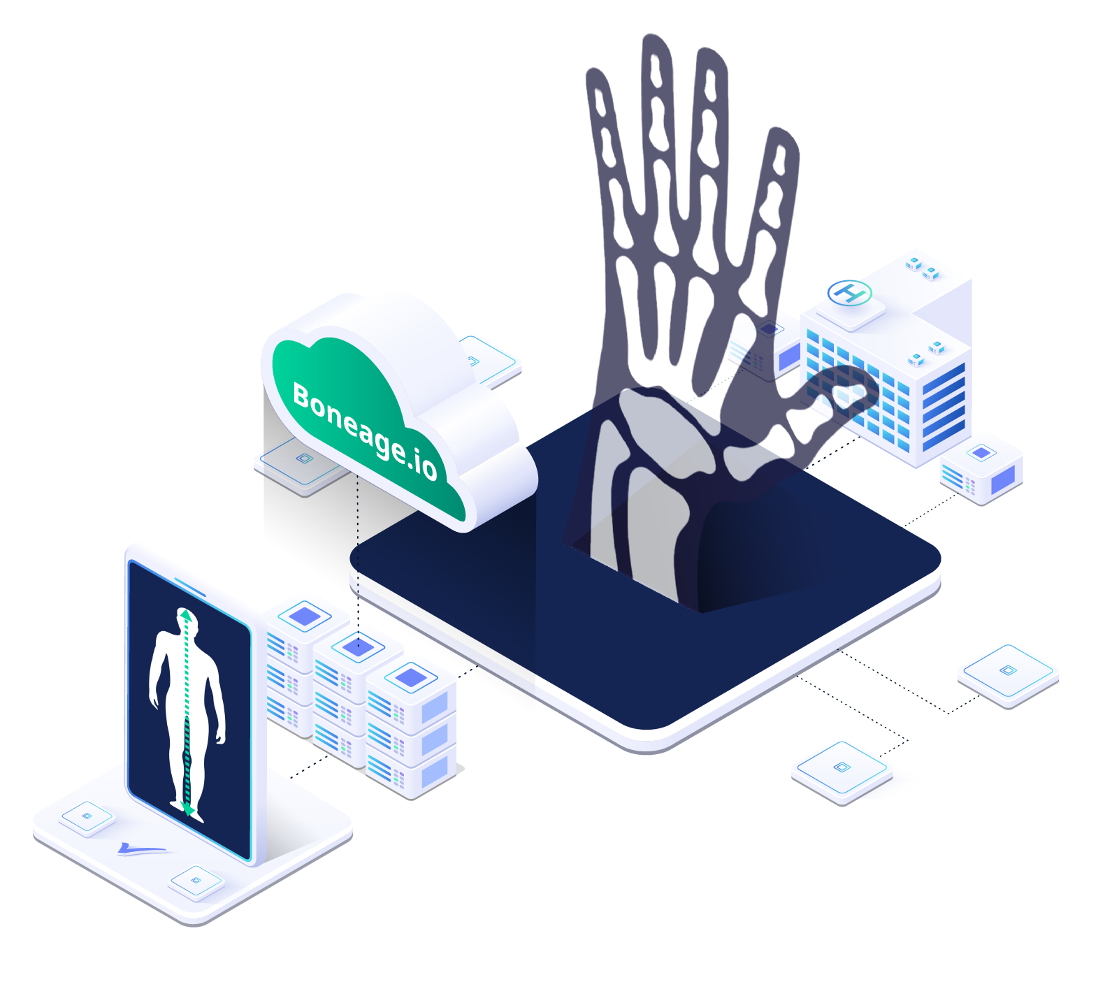 ai-based-prediction-of-adult-height-by-bone-age-assessments-boneage-io